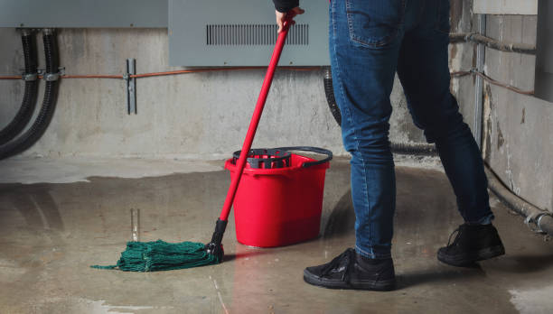 Best Commercial water damage restoration  in Belleville, MI
