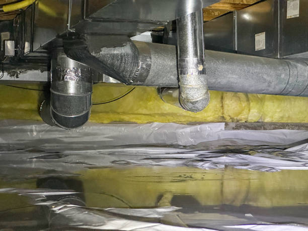 Best Water damage restoration process  in Belleville, MI