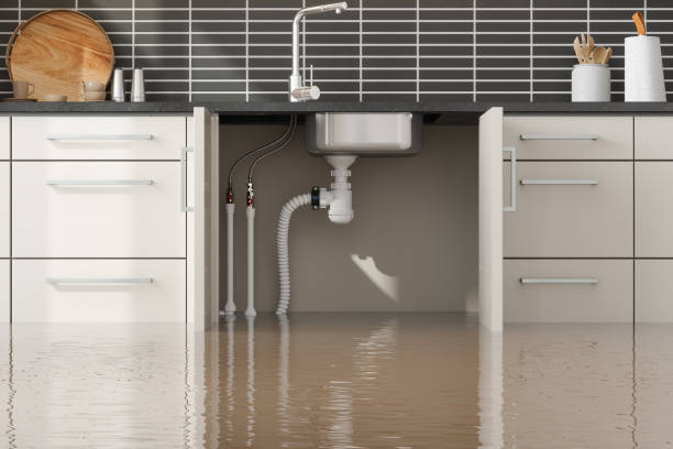 Best Water damage cleanup near me  in Belleville, MI