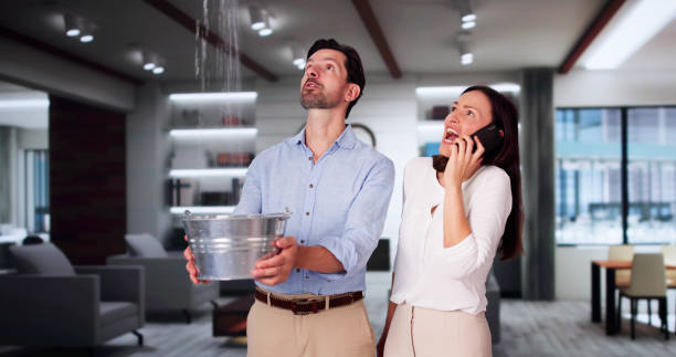 Best 24-hour water damage restoration  in Belleville, MI
